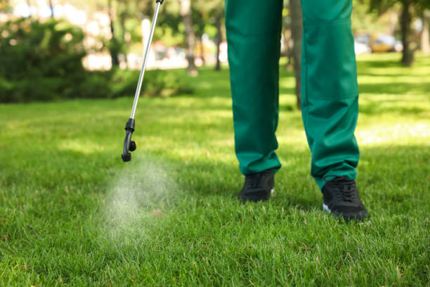 Best Affordable Pest Control Services  in Faith, NC